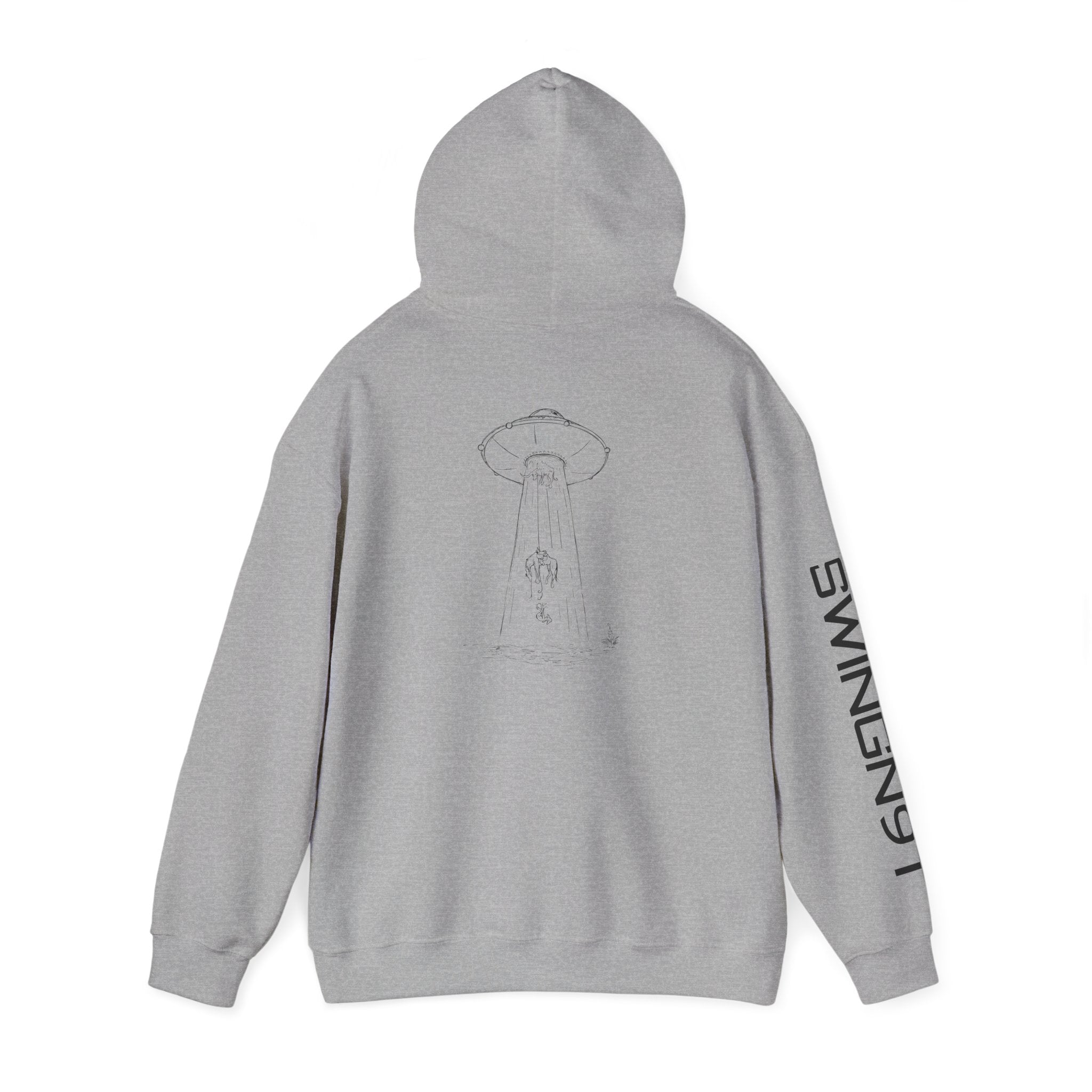 Image of UFO Hoodie
