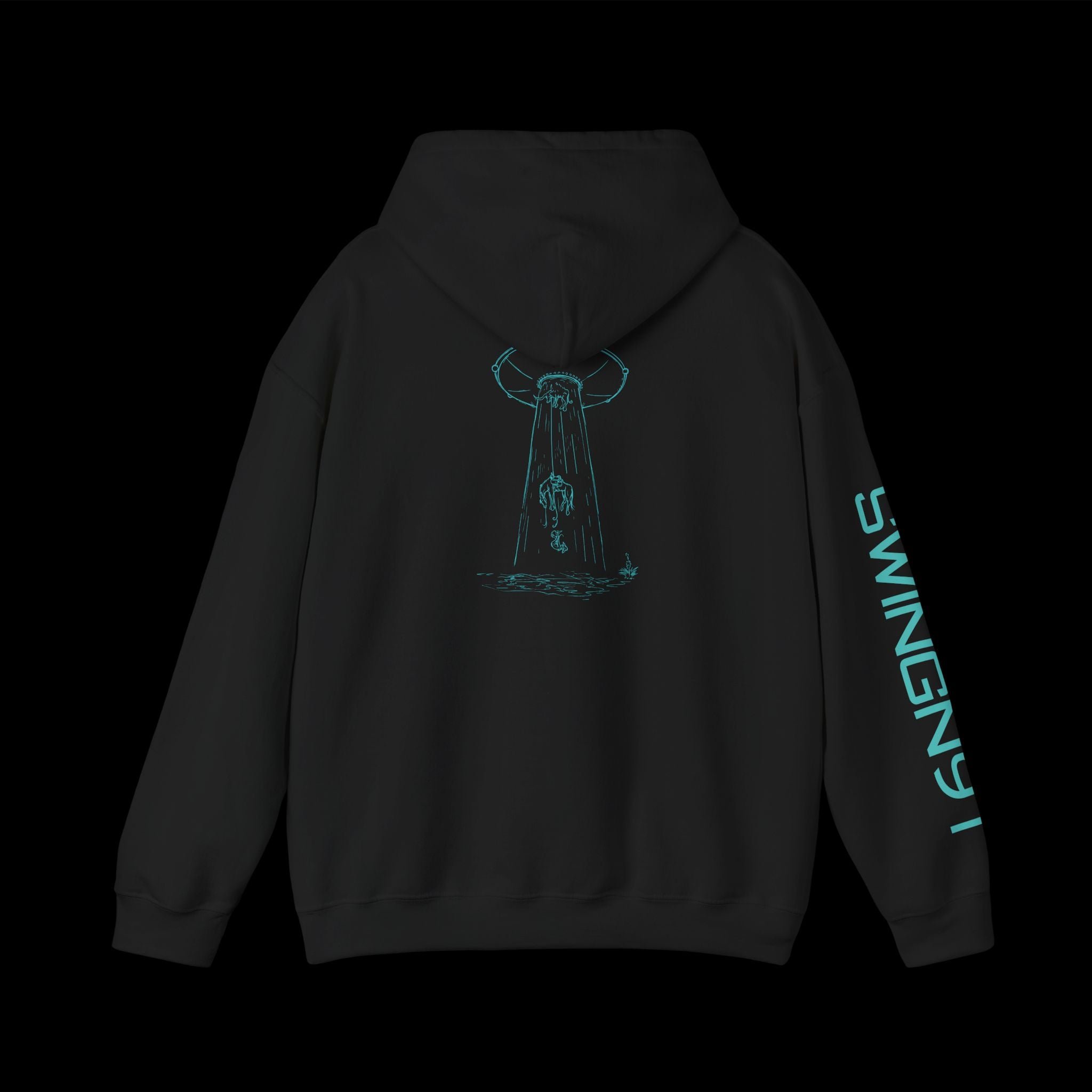 Image of UFO Hoodie
