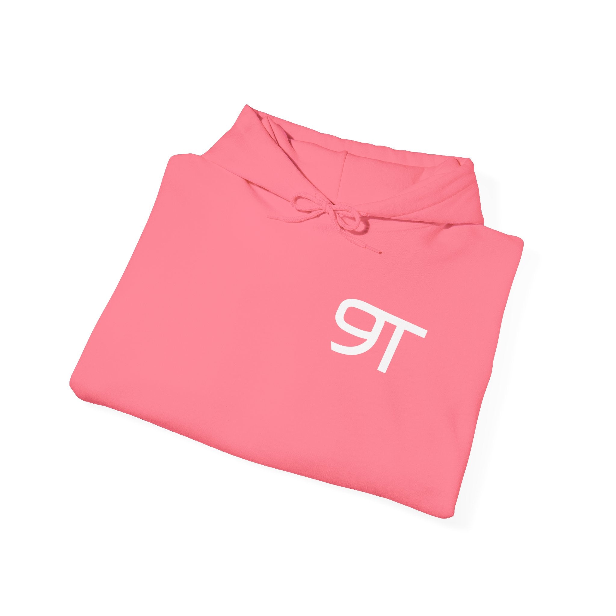 SWINGN9T HOODIE