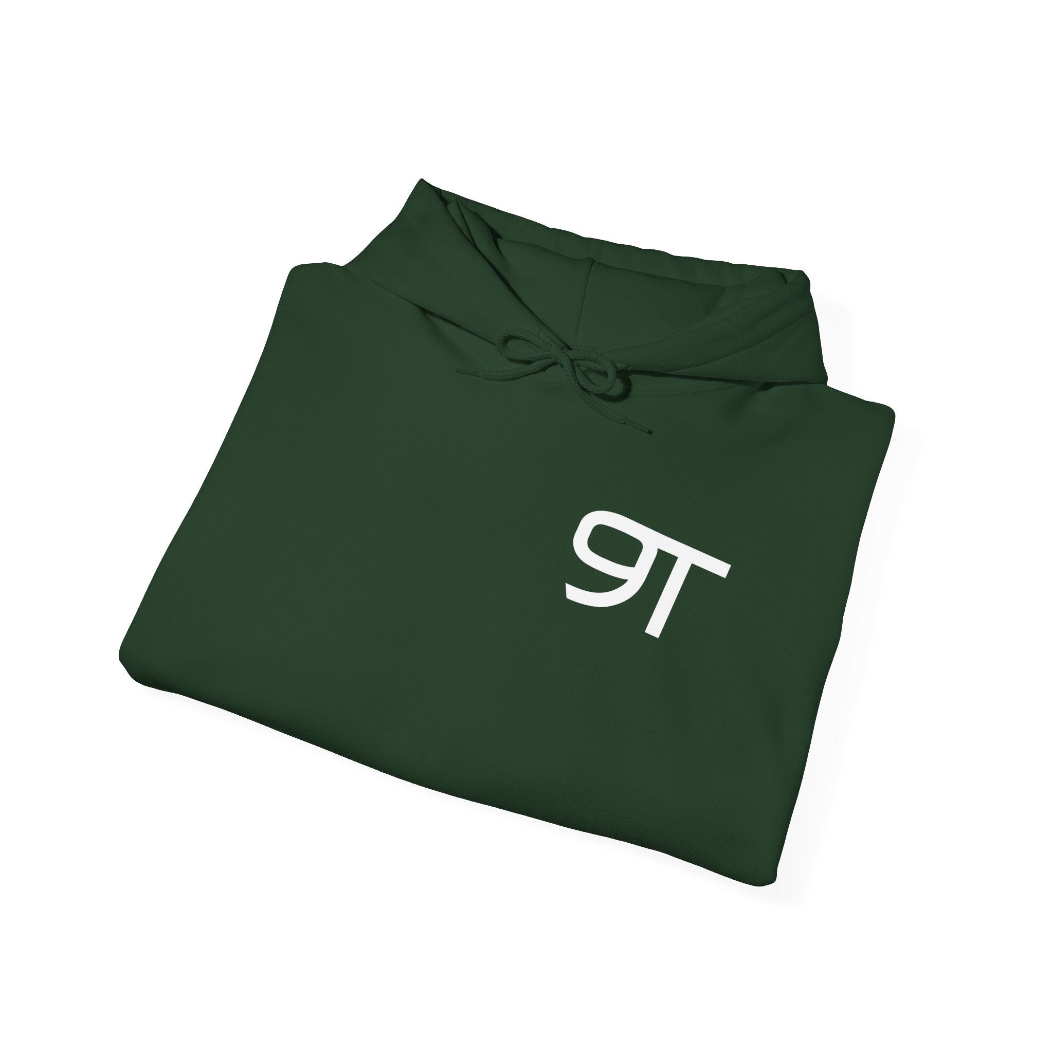 SWINGN9T HOODIE