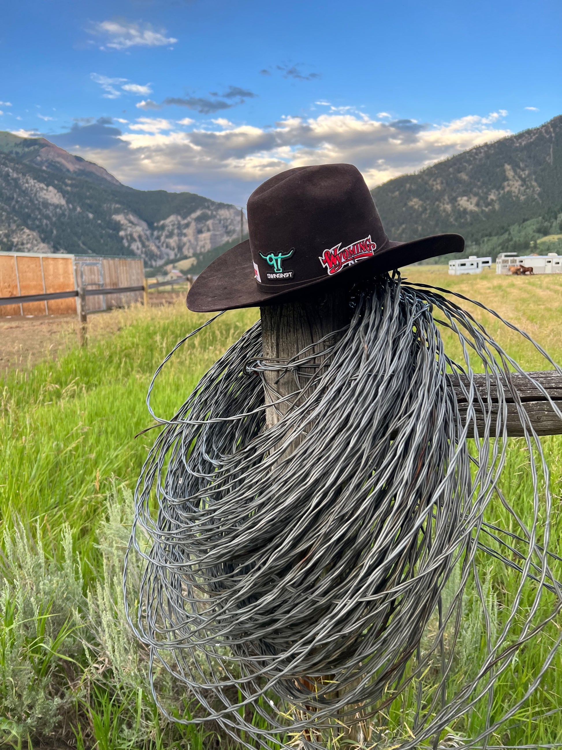 SwingN9t hat patch image 0