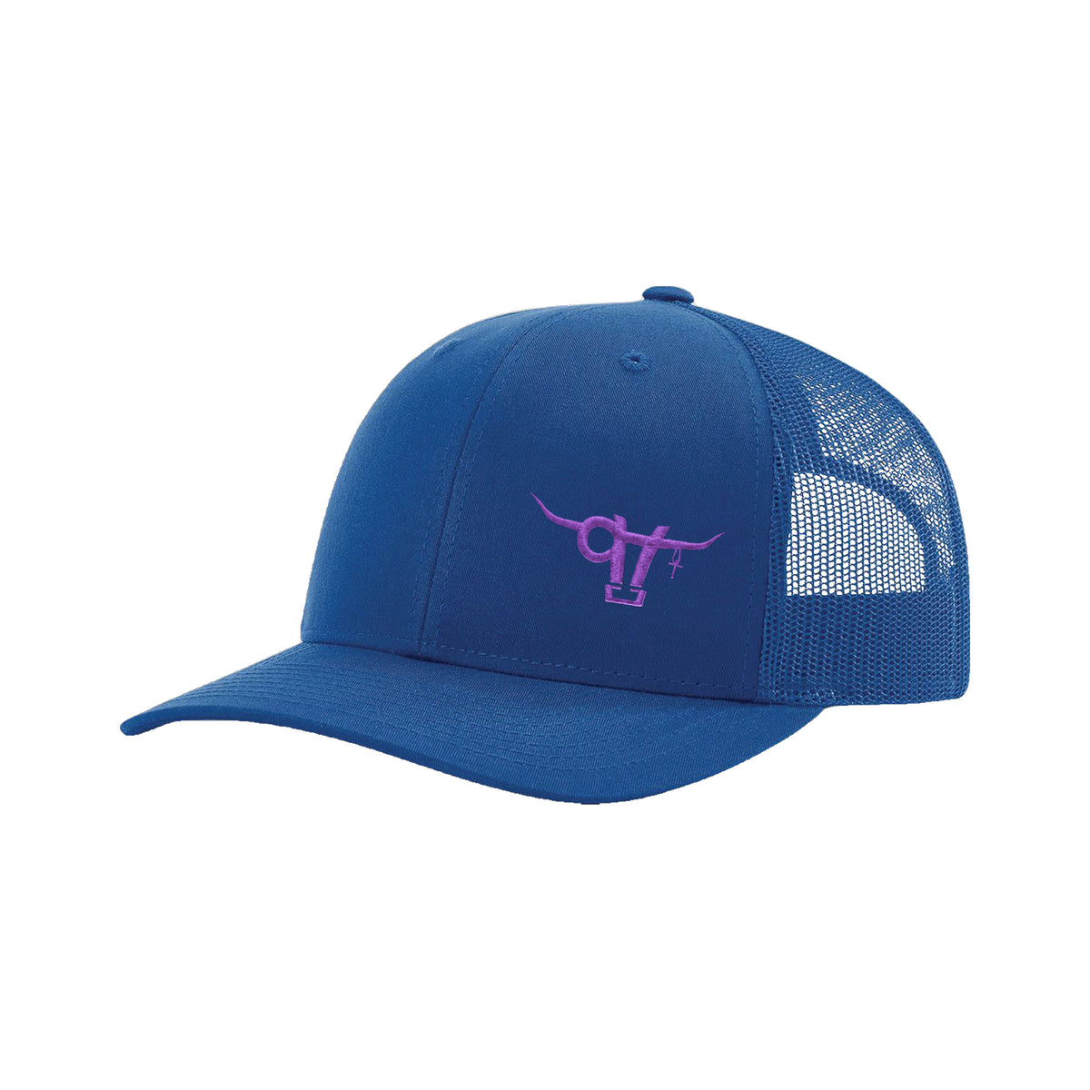 SwingN9T Bull Richardson 112 Hat / Blue / Purple / angle on white