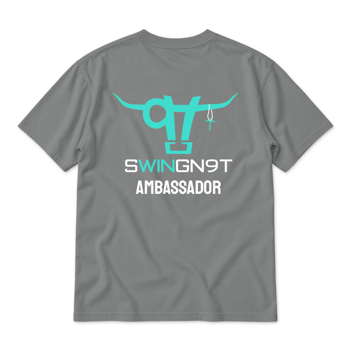 Ambassador Team T-Shirt / Graphite / back on white